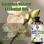 Gardenia Essential Oil - Image 8