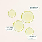Cliganic Organic Lime Essential Oil - Image 6