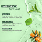 Botanic Hearth Tea Tree Body Wash 16 fl oz Natural Antifungal & Odor Control - Image 2