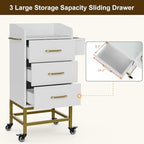 Paddie Beauty Salon Storage Trolley Cart, Glass Top Hair Station Cabinet - Image 4