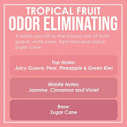 Tropical Fruit Odor Eliminating Highly Fragranced Candle - Image 4