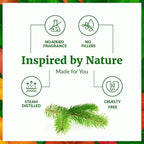 SVA Fir Needle Essential Oil – 4 Fl Oz – 100% Natural Fir Needle Oil - Image 3