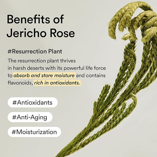 Abib Jericho Trial Kit, Travel Kit | Korean Skincare, Toner Pads, Travel - Image 2