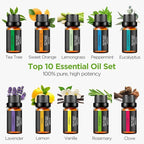 InnoGear Aromatherapy Diffuser & 10 Essential Oils Set, 400ml Diffuser - Image 6