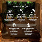 Carnatia Eucalyptus Shower Spray – Aromatherapy Essential Oil Mist - Image 8