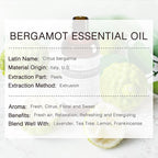 Bergamot Essential Oil 100ML, 100% Pure Natural Bergamot Oil Premium Grade - Image 3