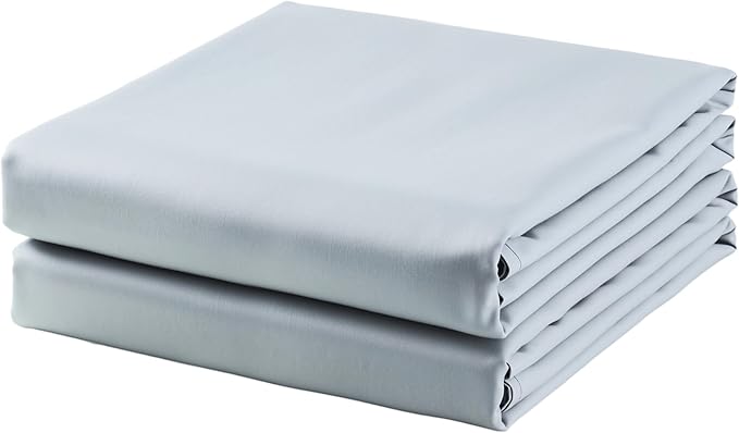 2-Pack Cotton King Flat Sheet Only, 600 Thread Count 100% Egyptian Cotton Top by ZaizaiHome