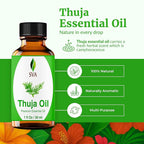 SVA Thuja Essential Oil – 1 Fl Oz – 100% Natural Thuja Oil - Image 2