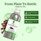 SVA Clove Bud Essential Oil – 32 Fl Oz – 100% Natural Clove Bud Oil - Image 4