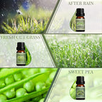 SALKING Spring Fragrance Oils Set, Premium Essential Oils Gift Set - Image 3