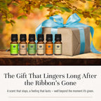 P&J Fragrance Oil Halloween Set | Autumn Wreath, Pumpkin Pie, Candy Corn - Image 5