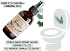 Stocking Stuffer Funny Toilet Spray - Image 3