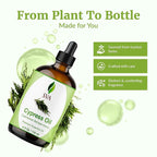SVA Cypress Essential Oil – 4 Fl Oz – 100% Natural Cypress Oil - Image 4
