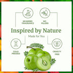 SVA Tamanu Seed Oil Organic - Image 3
