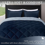 downluxe Twin Comforter Set - Image 2