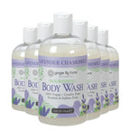Ginger Lily Farms Botanicals Nourishing Body Wash, 100% Vegan & Cruelty-Free by GingerLilyFarms