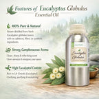 GreenHealth - Eucalyptus Globulus Essential Oil – 16 fl oz Aluminum Bottle - Image 3