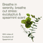 Bath & Body Works Aromatherapy Eucalyptus Spearmint Essential Oil Mist - Image 3