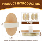 SAMEBUTECO 4 Pack Dry Body Brushing Brushes, Natural Bristle Exfoliating Scrub - Image 2