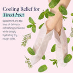 SpaLife Moisturizing Hand Gloves & Foot Mask Socks | Korean Skincare Set - Image 5