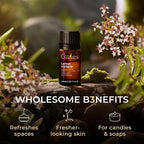 100% Pure Lemon Verbena Essential Oil - Image 5