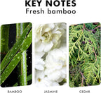 Xcleen Reed Diffuser, Fresh Bamboo Scented Diffuser - Image 3