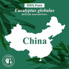 Handcraft Blends Eucalyptus Essential Oil – 1 Fl Oz – 100% Pure and Natural – - Image 8