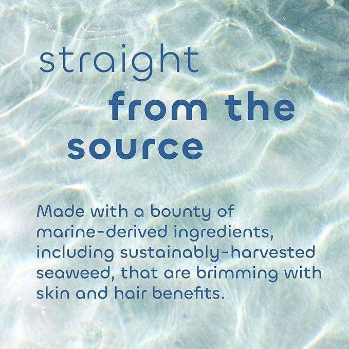 Seaweed Bath Co. Detox Body Scrub, 6 Ounce, Sustainably Harvested Seaweed - Image 4