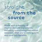 Seaweed Bath Co. Bubbling Muscle Soak, Tea Tree Lavender Scent, 12 Ounce - Image 4