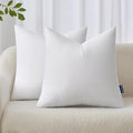 MIULEE 20x20 Inches Pillow Inserts Pack of 2, Decorative Throw Pillow Inserts by MIULEE