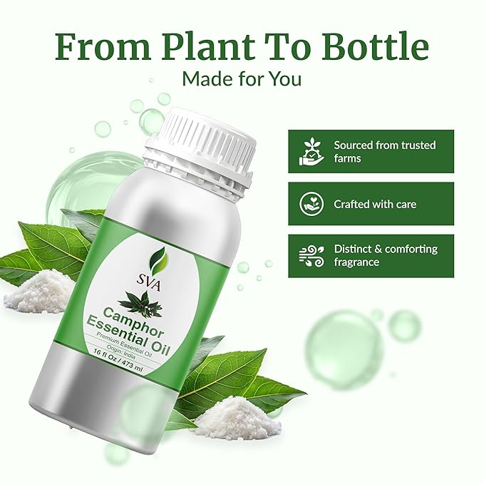 SVA Camphor Essential Oil – 16 Fl Oz – 100% Natural Camphor Oil - Image 4
