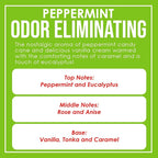 Peppermint Odor Eliminating Highly Fragranced Candle - Image 4