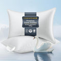 COZSINOOR Goose Feather Pillows Queen Size Set of 2 by COZSINOORBEDDING