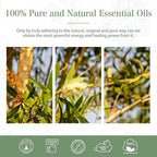 Australian Tea Tree 1.01fl.oz Essential Oil, PHATOIL Pure Aromatherapy Oils - Image 7