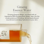 Beauty of Joseon Ginseng Essence Water Hydrating Face Toner - Image 2