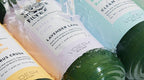 VOESH Vitamin C Shower Filter, Rainforest Mist, Shower Aromatherapy, Water - Image 7