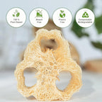 Natural Loofah 6-Pack, 4 Inch 100% Plant Fiber Exfoliating Sponge, Spa & Shower - Image 5