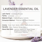 Lavender Essential Oil, Pure & Natural Lavender Oil 100ML, Premium Grade - Image 3
