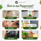 NaturoBliss Peppermint Essential Oil, 100% Pure and Natural Therapeutic Grade - Image 4