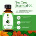 SVA Tea Tree Essential Oil – 1 Fl Oz – 100% Natural Tea Tree Oil - Image 2