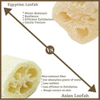 NileCart 22 Inch Egyptian Loofah Natural Luffa Sponges - Image 9