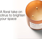 Bath & Body Works 3-Wick Candle, Sweet Orange & Agave Citrus Candle, Strong - Image 2