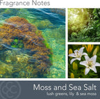 Carolina Moss & Sea Salt Scented Candle, 16 oz Wellness Relaxing Aromatherapy - Image 2