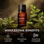 100% Pure Coriander Essential Oil - Image 5