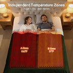 King Heated Blanket Dual Control - Image 2