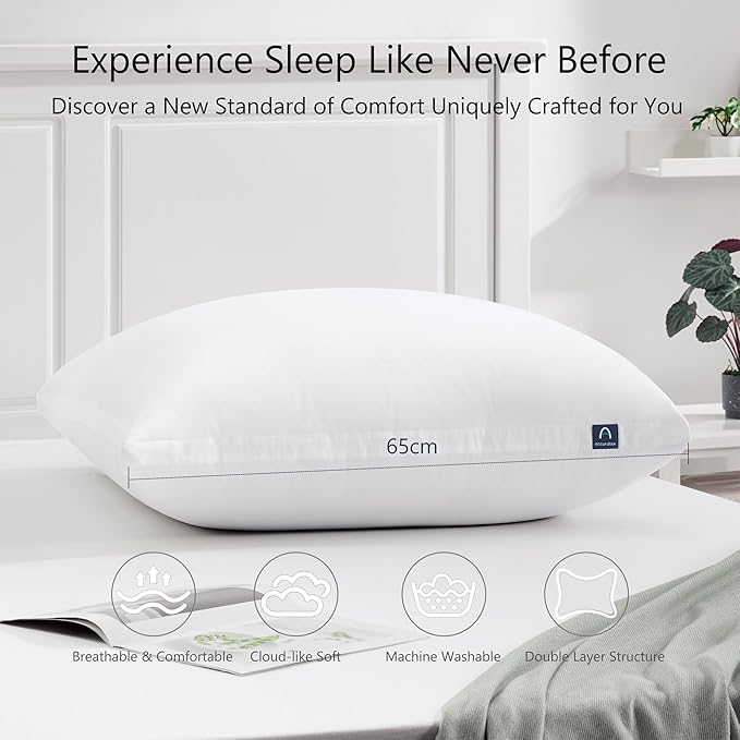 ACCURATEX Euro Pillows Set of 2 - Image 5