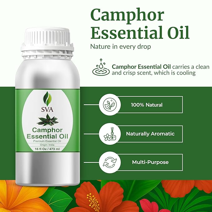 SVA Camphor Essential Oil – 16 Fl Oz – 100% Natural Camphor Oil - Image 2