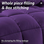 HYLEORY All Season Queen Size Bed Comforter - Image 2