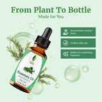 SVA Rosemary Essential Oil – 1 Fl Oz – 100% Natural Rosemary Oil - Image 4