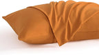 NTBAY Queen Pillow Cases Set, 2 Pack Brushed Microfiber 20x30 Inches, Stain by NTBAY